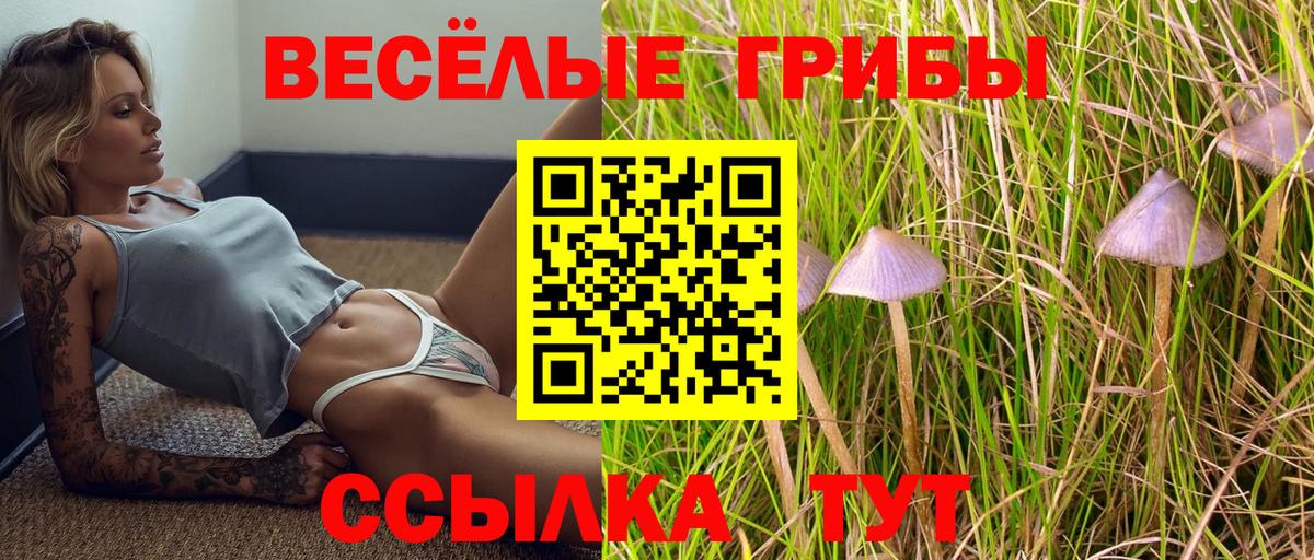Галлюциногенные грибы MAGIC MUSHROOMS Бутурлиновка